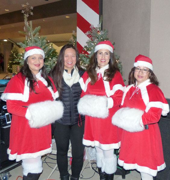 Holiday Snow Village 2015 50